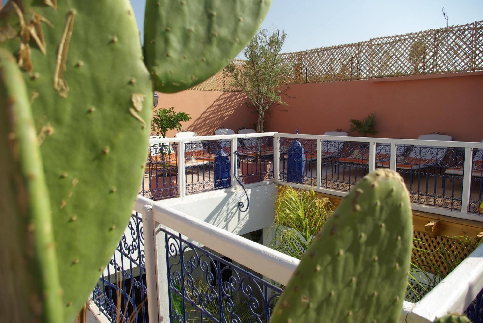 Riad Abaca Badra マラケシュ エクステリア 写真